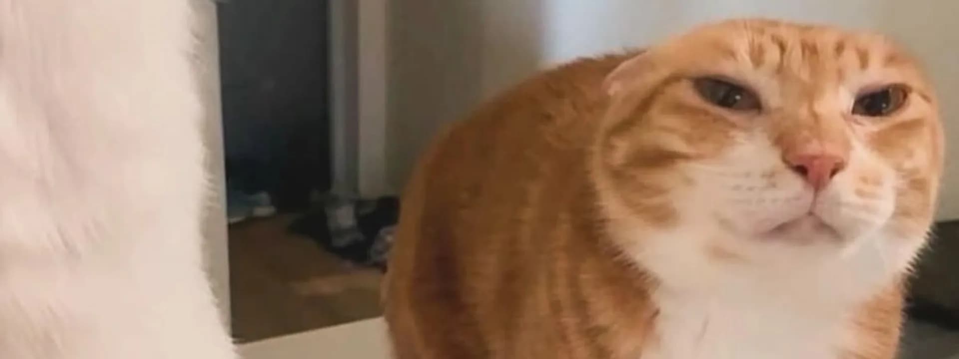 Banner image for changelog